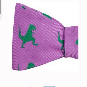 Bow Tie unique!!! Dinosaur design… 100% silk